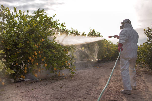  Red Cloud, NE Pest Control Pros